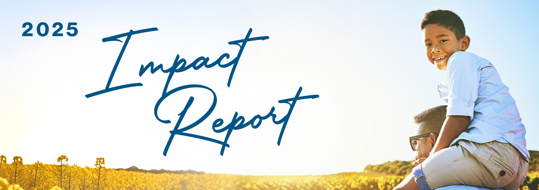 Impact report web header