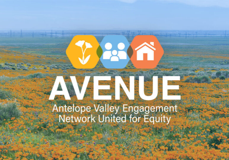 AVENUE Header Pic - 1920x1015