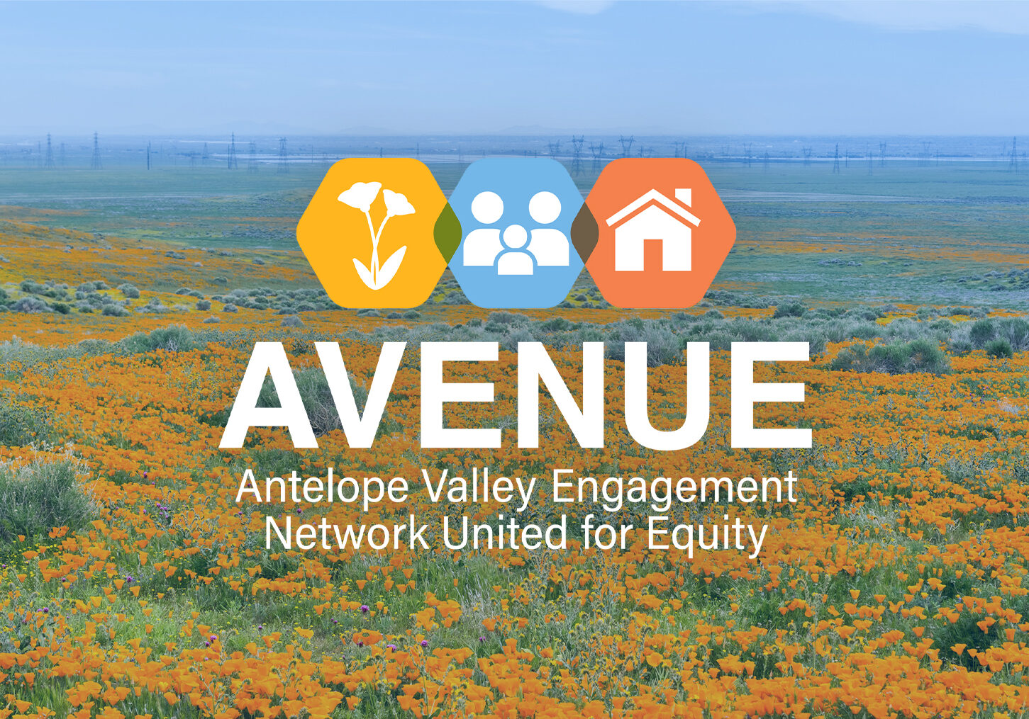 AVENUE Header Pic - 1920x1015